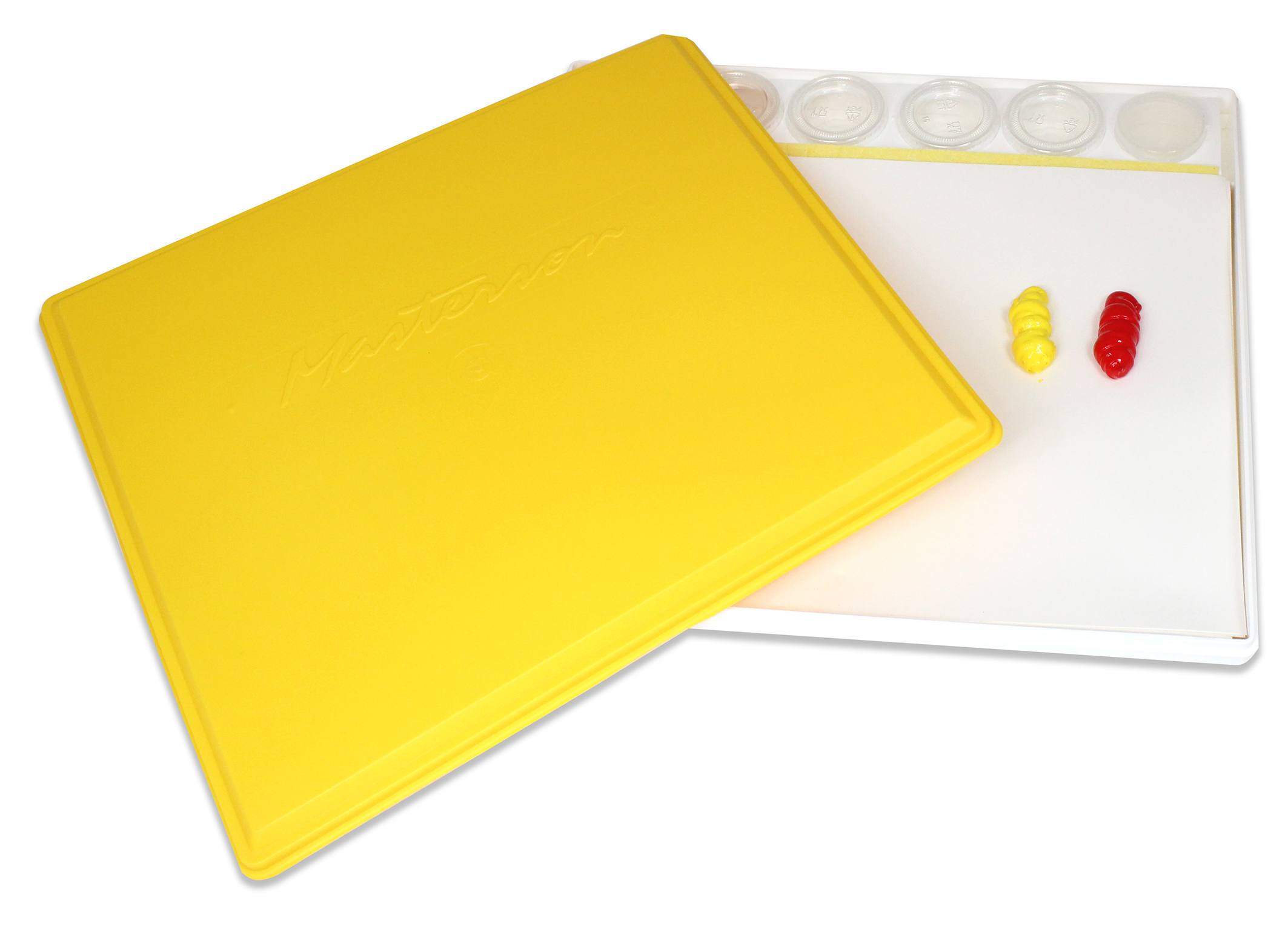 Painters Pal with paint